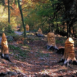 Wood of gnomes