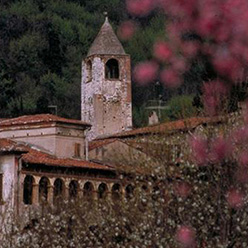 Monastery of San Pietro in Lamosa