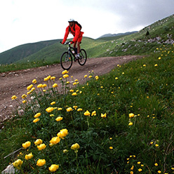 Mount Guglielmo cycle track